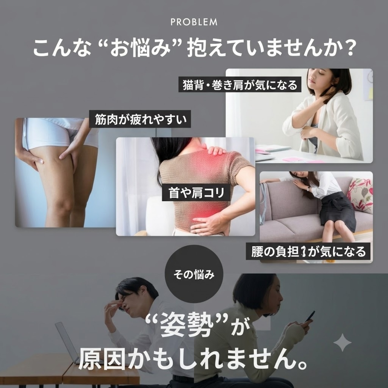 限定販売】フィルローラー｜通販の虎